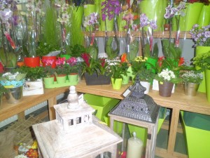 CIMG5886 — kopia